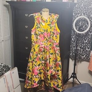 Stunning Alex Marie dress
